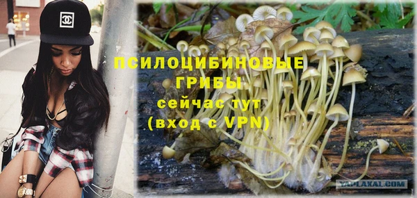 трава Богородицк