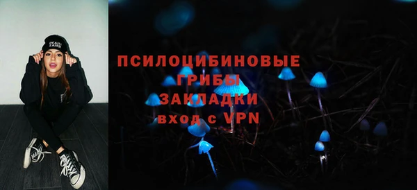марки nbome Белокуриха