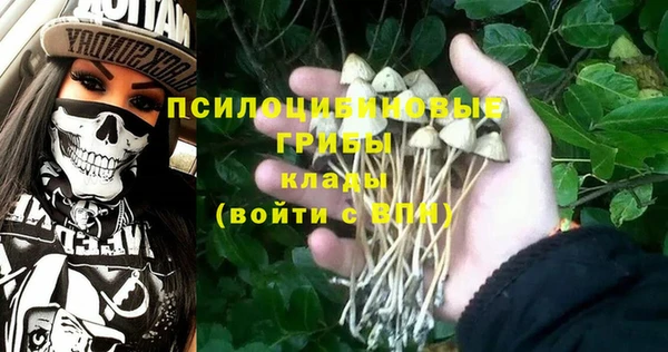 трава Богородицк