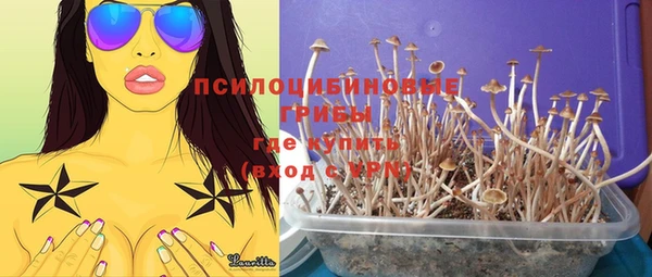 стафф Белоозёрский